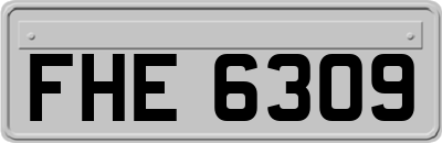 FHE6309