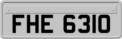 FHE6310