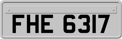 FHE6317