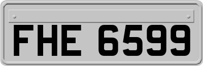 FHE6599