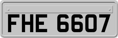 FHE6607