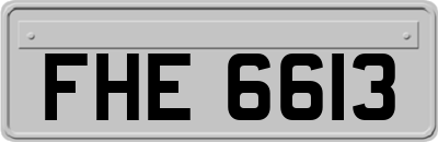 FHE6613