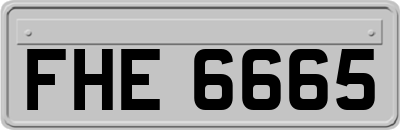 FHE6665