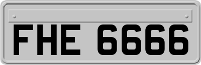 FHE6666
