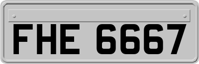 FHE6667