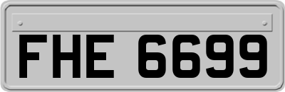 FHE6699