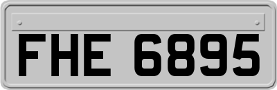 FHE6895
