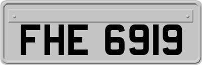 FHE6919