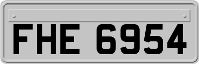 FHE6954