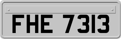 FHE7313
