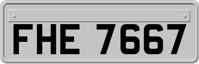 FHE7667