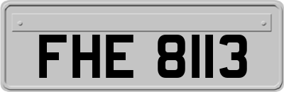 FHE8113