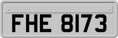 FHE8173