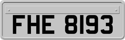 FHE8193