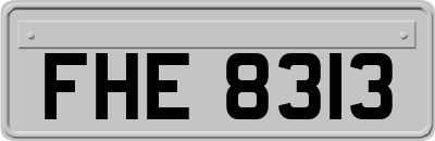 FHE8313
