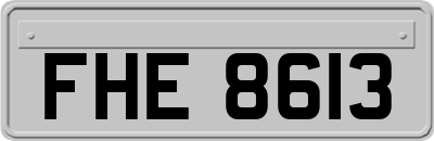 FHE8613