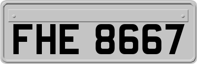 FHE8667