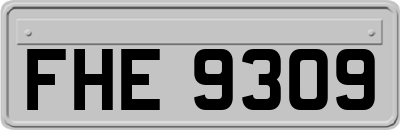 FHE9309