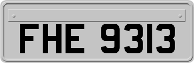 FHE9313