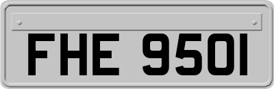 FHE9501