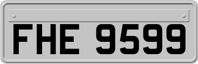 FHE9599