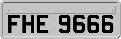 FHE9666