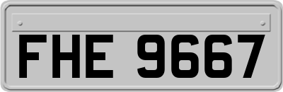 FHE9667