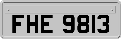 FHE9813