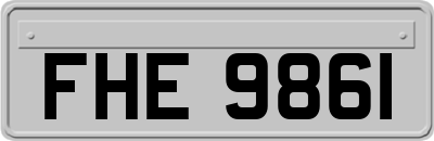 FHE9861