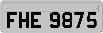 FHE9875