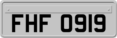 FHF0919