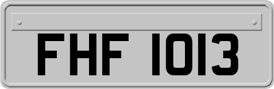 FHF1013
