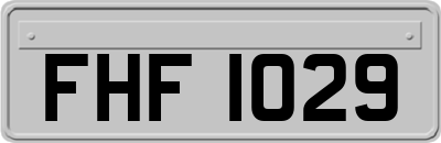 FHF1029