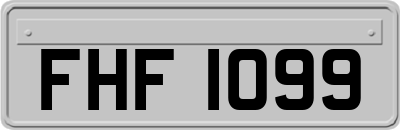 FHF1099