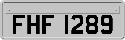 FHF1289