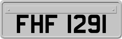 FHF1291