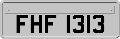 FHF1313