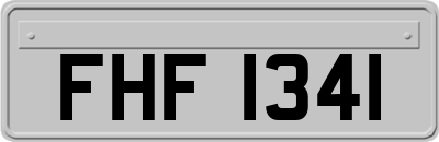 FHF1341