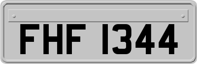 FHF1344