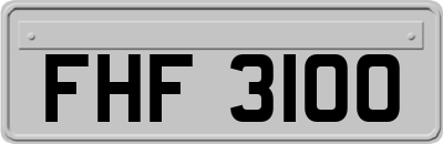 FHF3100