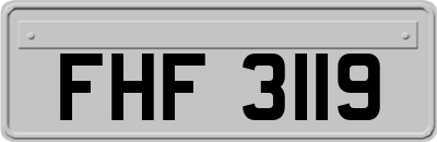 FHF3119