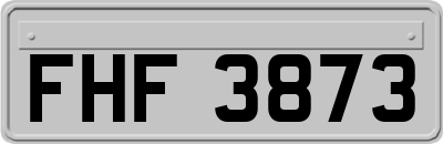 FHF3873