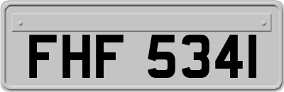 FHF5341