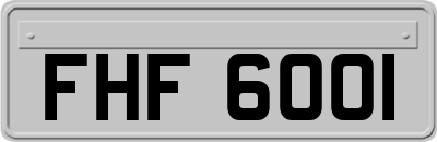 FHF6001