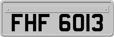 FHF6013