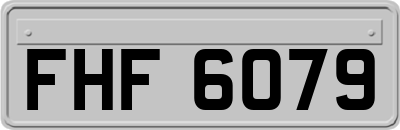 FHF6079
