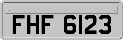 FHF6123