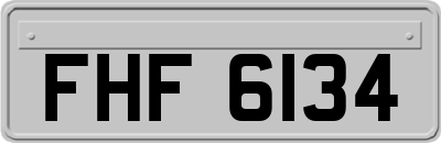 FHF6134