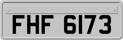 FHF6173