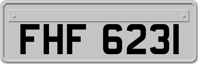 FHF6231